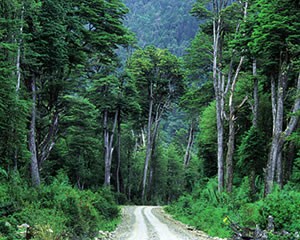 CARRETERA AUSTRAL 
